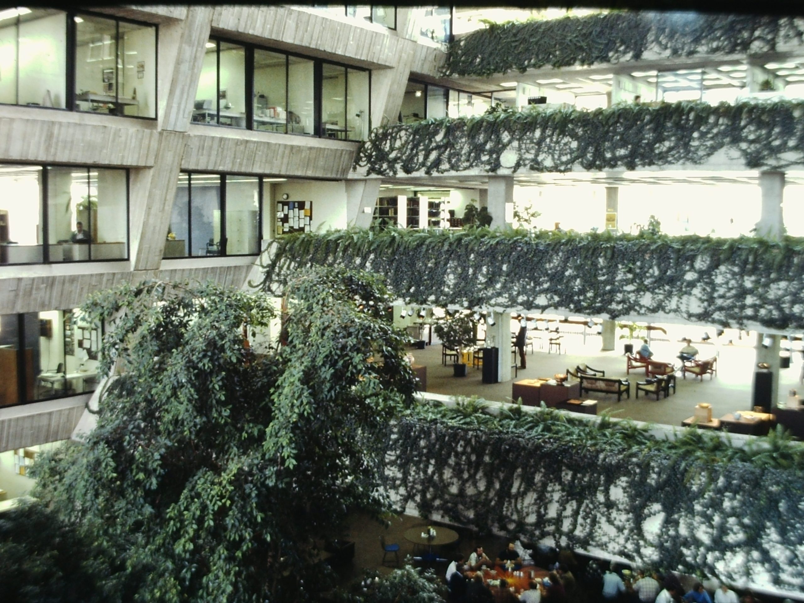 My beautiful picture