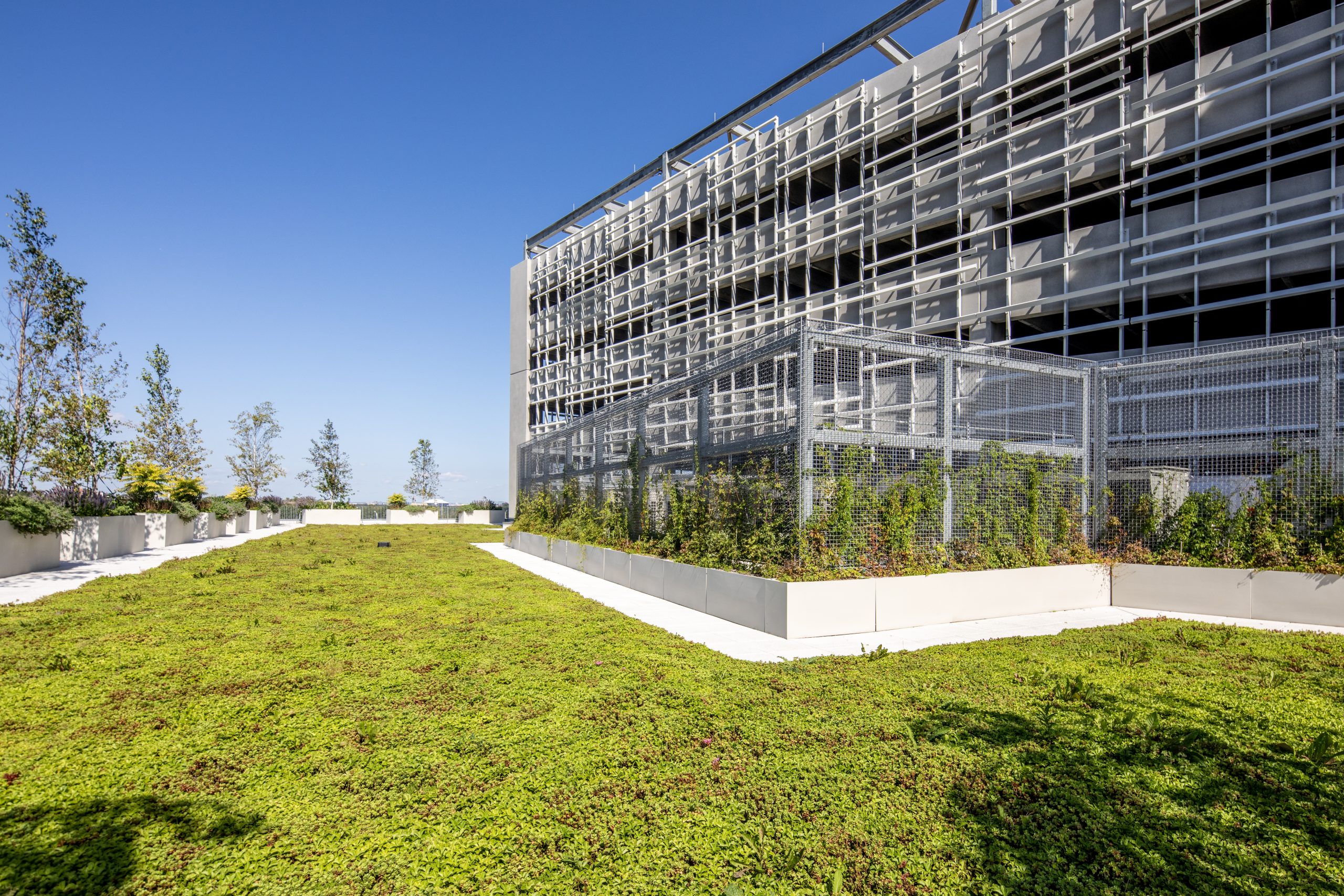 GreenRoof-385A1140-worthingtonimages2023_RT